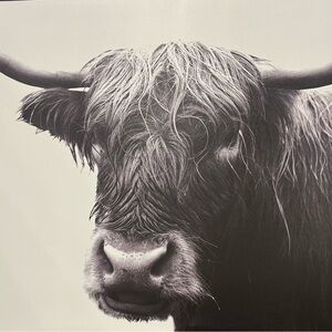 Majestic Strength Air Painting